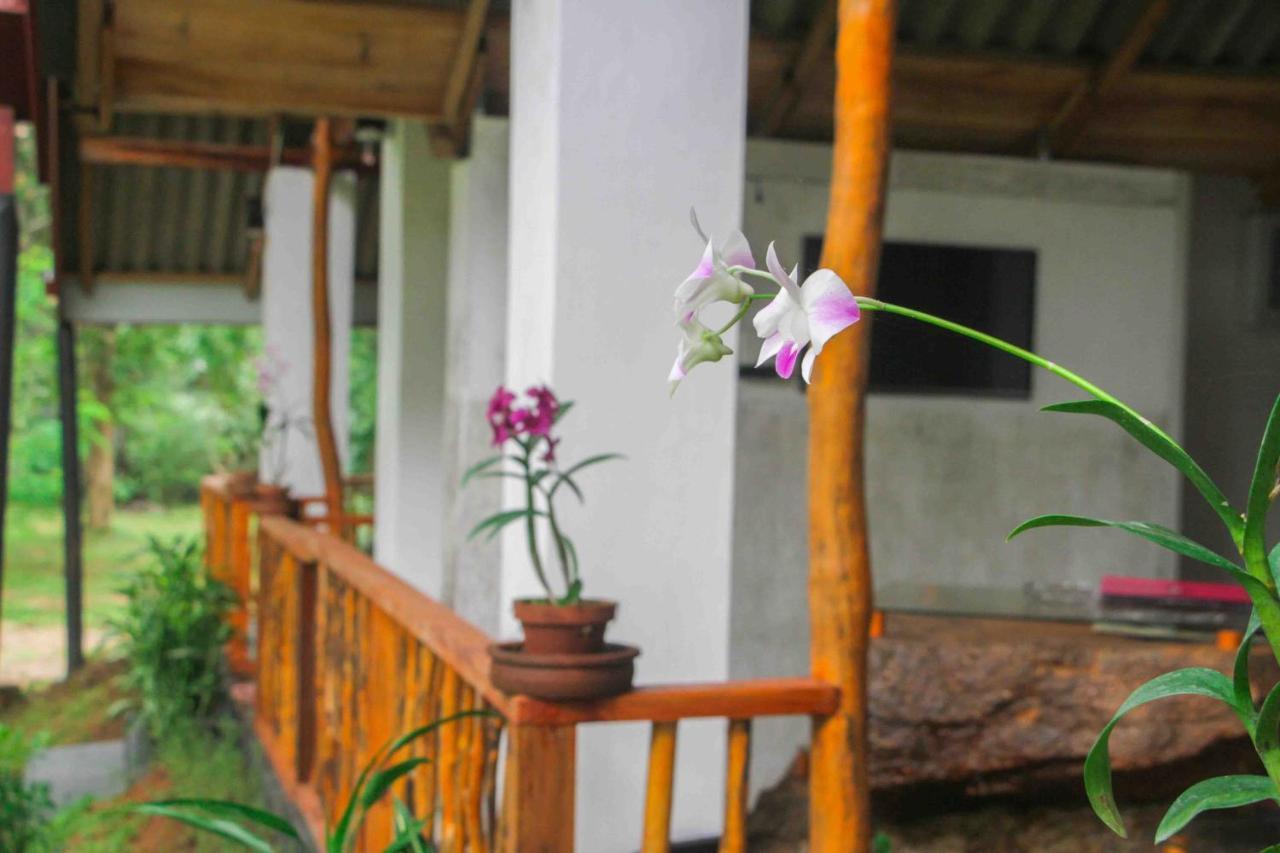 Victory Villa Sigiriya Exterior foto